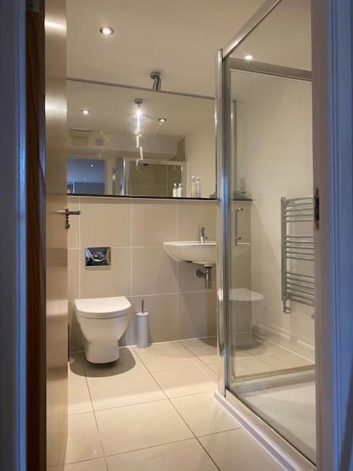 Modern Apartment, Fistral Beach New Quay Dış mekan fotoğraf